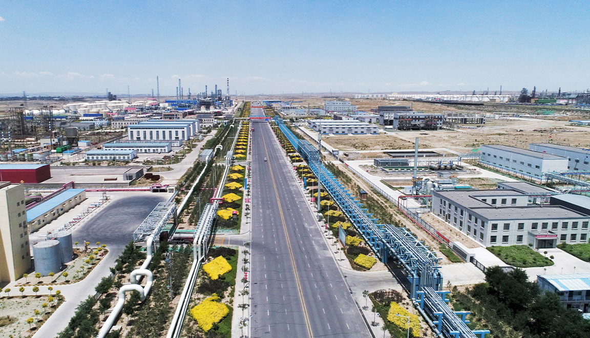 宁东基地化工新材料园区鸳鸯湖片区启动区地上管廊及污水工程