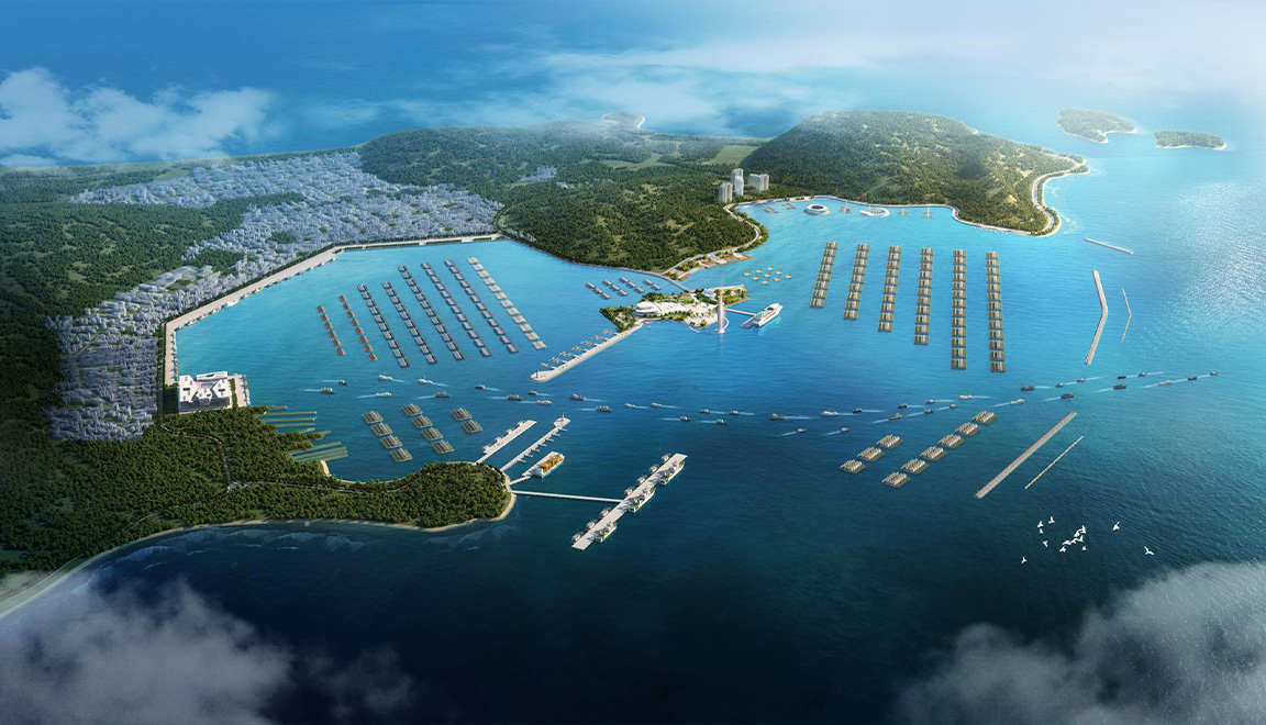 阳江闸坡世界级渔港建设工程